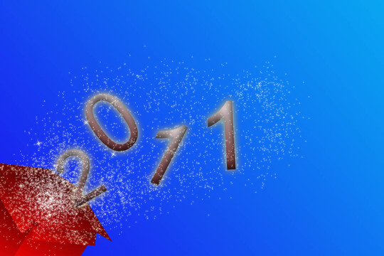 西爾維斯特卡2011