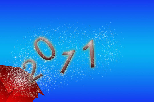 西爾維斯特2011