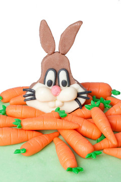 杏仁兔和carrot