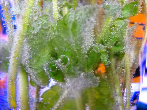 摘要自然背景