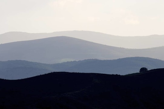 山