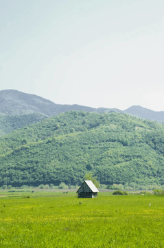 田園