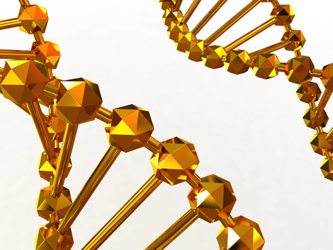 基因在DNA