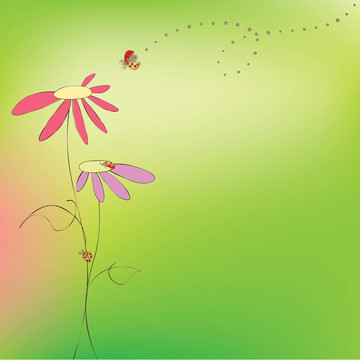 春天夏天的花瓢蟲卡