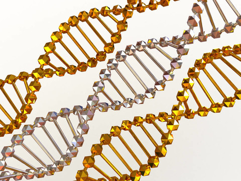 基因在DNA
