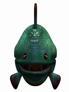 香椿魚
