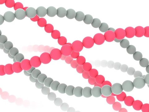 基因在DNA