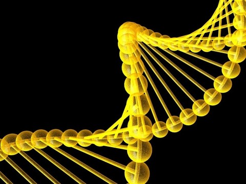 基因在DNA