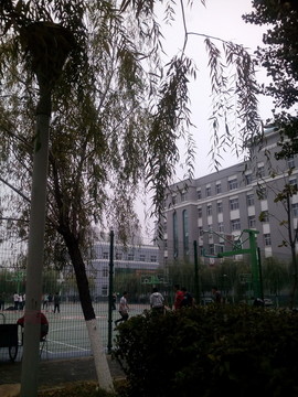 學(xué)?；@球場