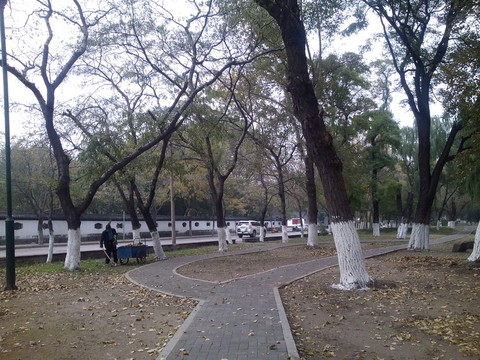 公園休閑步道