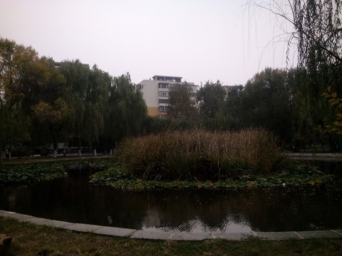 公園小湖
