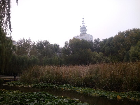 湖畔遠(yuǎn)眺
