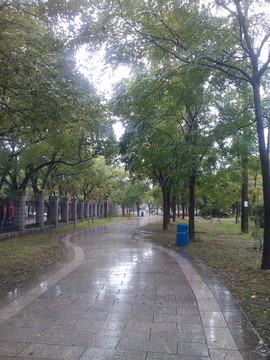 公園休閑道
