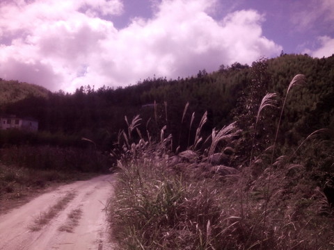 山區(qū)小路