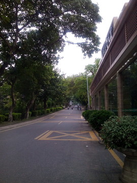 長(zhǎng)洲島路邊景色
