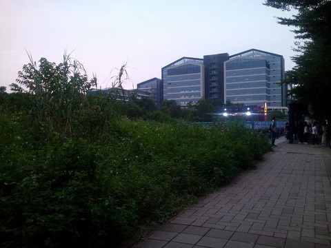 大學(xué)城人行道