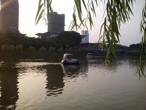 湖水楊柳