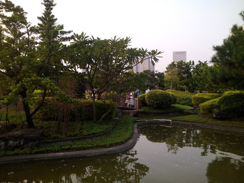 湖畔樹林