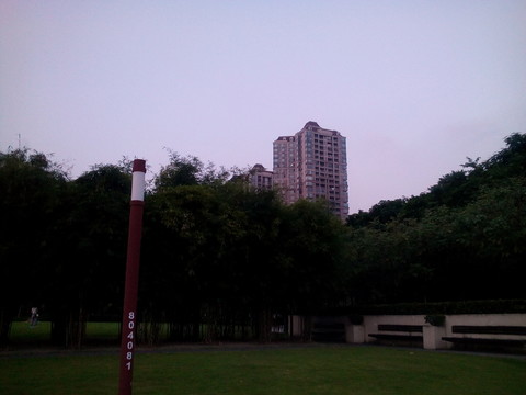 草坪風景