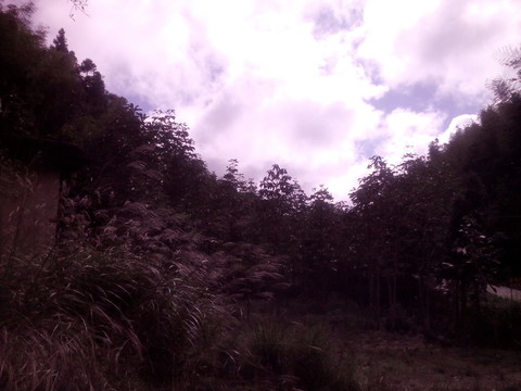 高山濃云