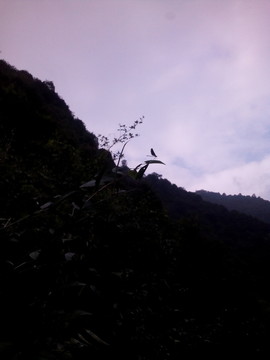 山與天