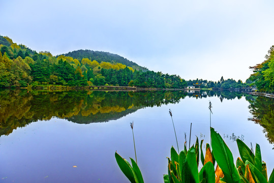 如琴湖全景