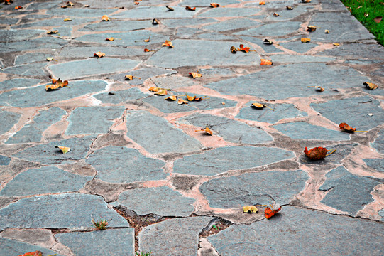 石板路 紅葉