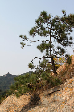千山風(fēng)光