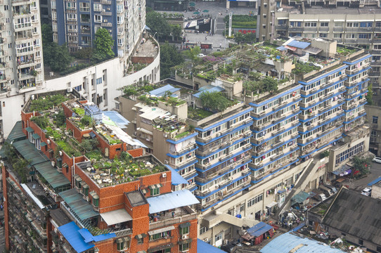 小區(qū)建筑