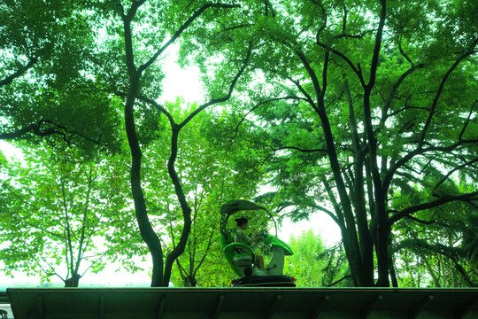 公園里的高架自行車
