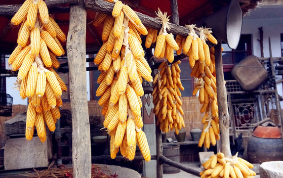 玉米農(nóng)家院