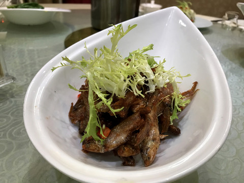 貓魚