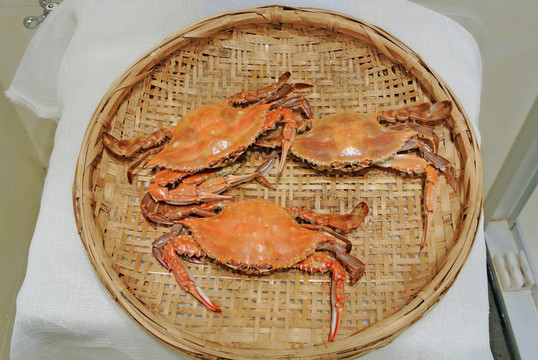 梭子蟹素材 高檔海鮮 海產(chǎn)品