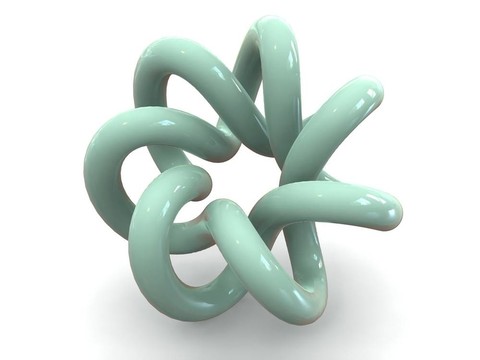 環(huán)面紐結(jié)