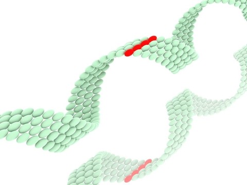 基因在DNA