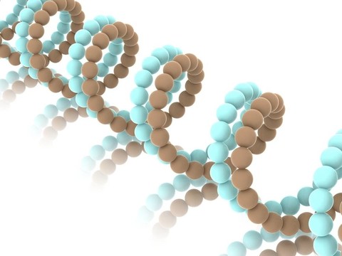 基因在DNA