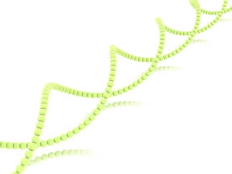 基因在DNA