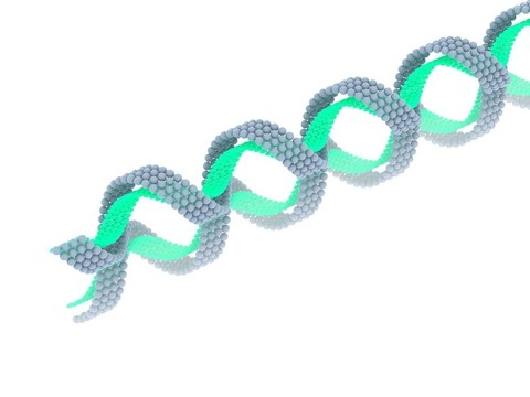 基因在DNA