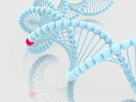 基因在DNA