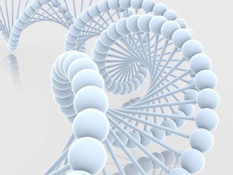 基因在DNA