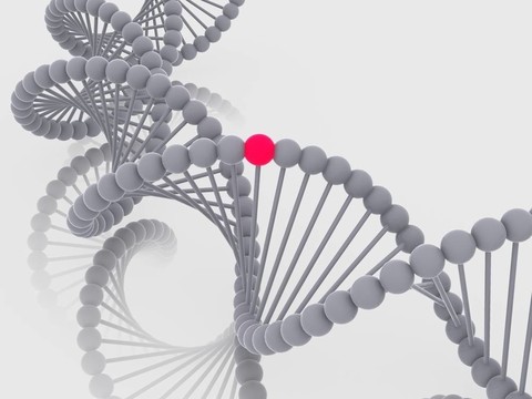 基因在DNA