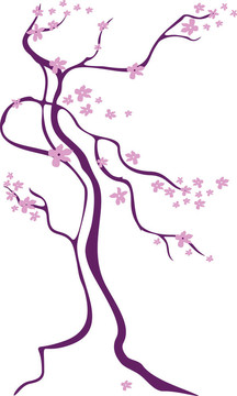 櫻花