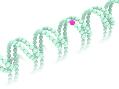 基因在DNA