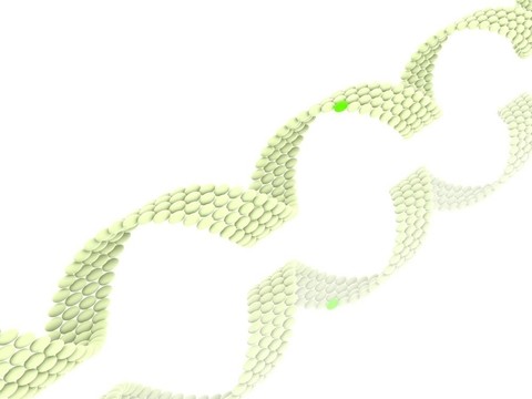 基因在DNA