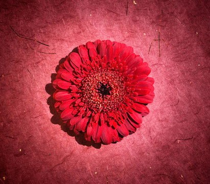完美的紅太陽(yáng)