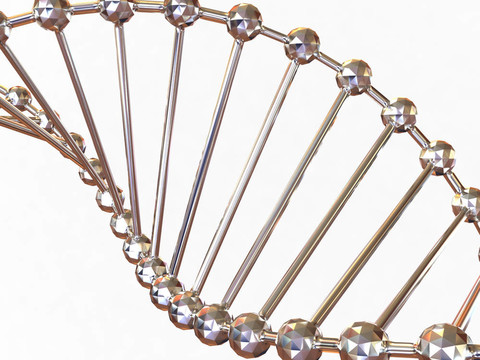 基因在DNA