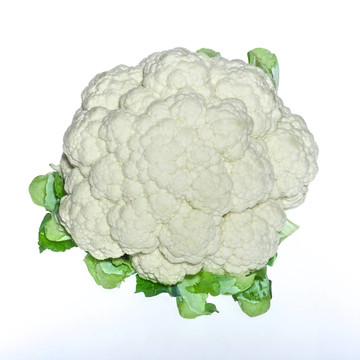 菜花White