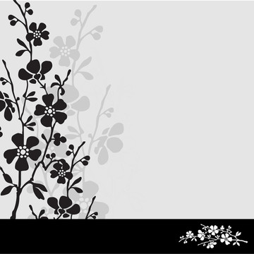 白花框