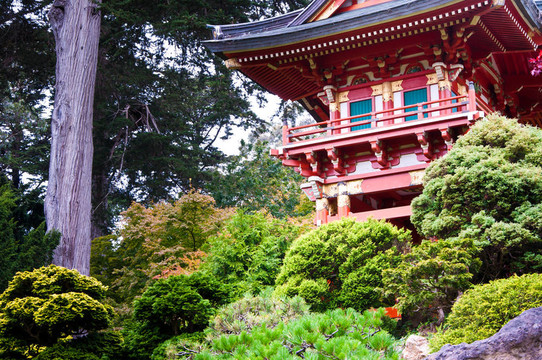 日本茶園