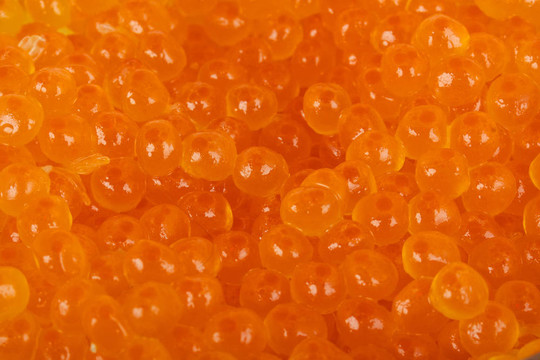 高質量的紅魚子醬